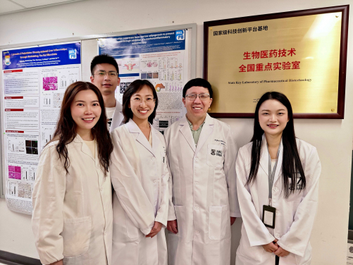 港大醫學院揭示運動強化骨骼的機制，有助為骨質疏鬆症及因骨質流失導致行動不便的人士 開闢全新的治療方向。此研究由港大醫學院臨床醫學學院內科學系徐愛民教授（右二）及王柏樂博士（前左二）領導。